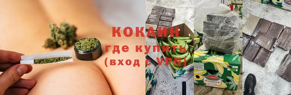индика Алзамай