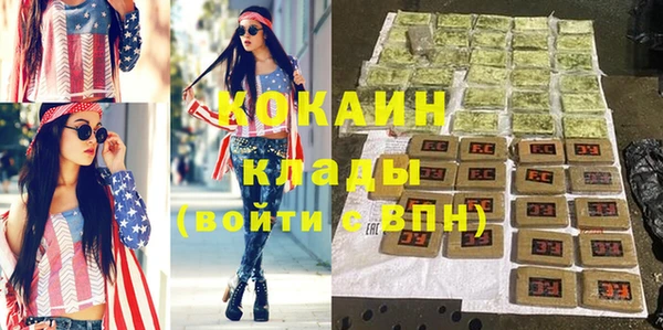 индика Алзамай