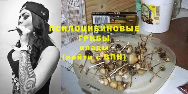 крисы Дмитров