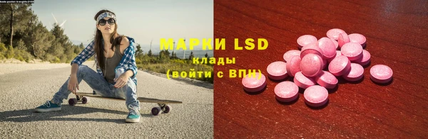 индика Алзамай