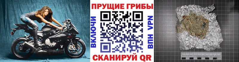 где можно купить наркотик Апрелевка Галлюциногенные грибы Psilocybe