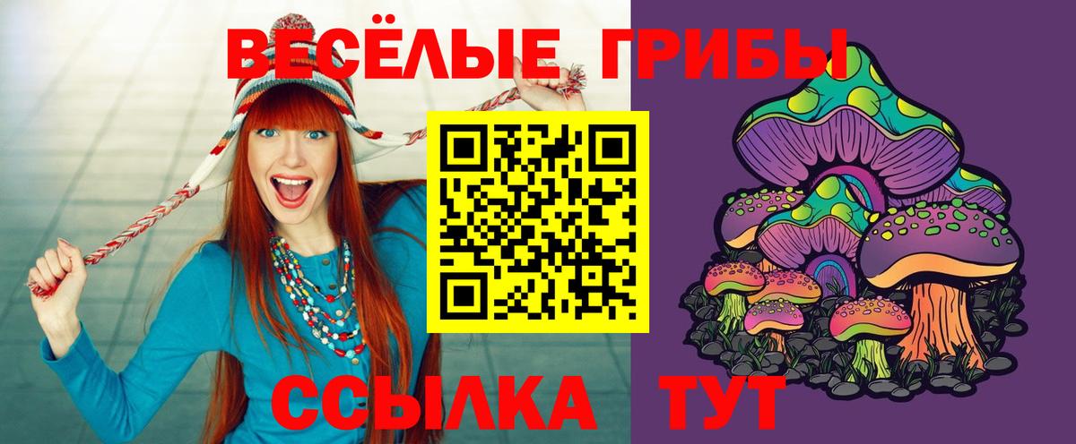 Псилоцибиновые грибы MAGIC MUSHROOMS Апрелевка