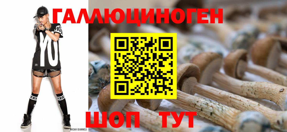 Псилоцибиновые грибы мицелий Апрелевка
